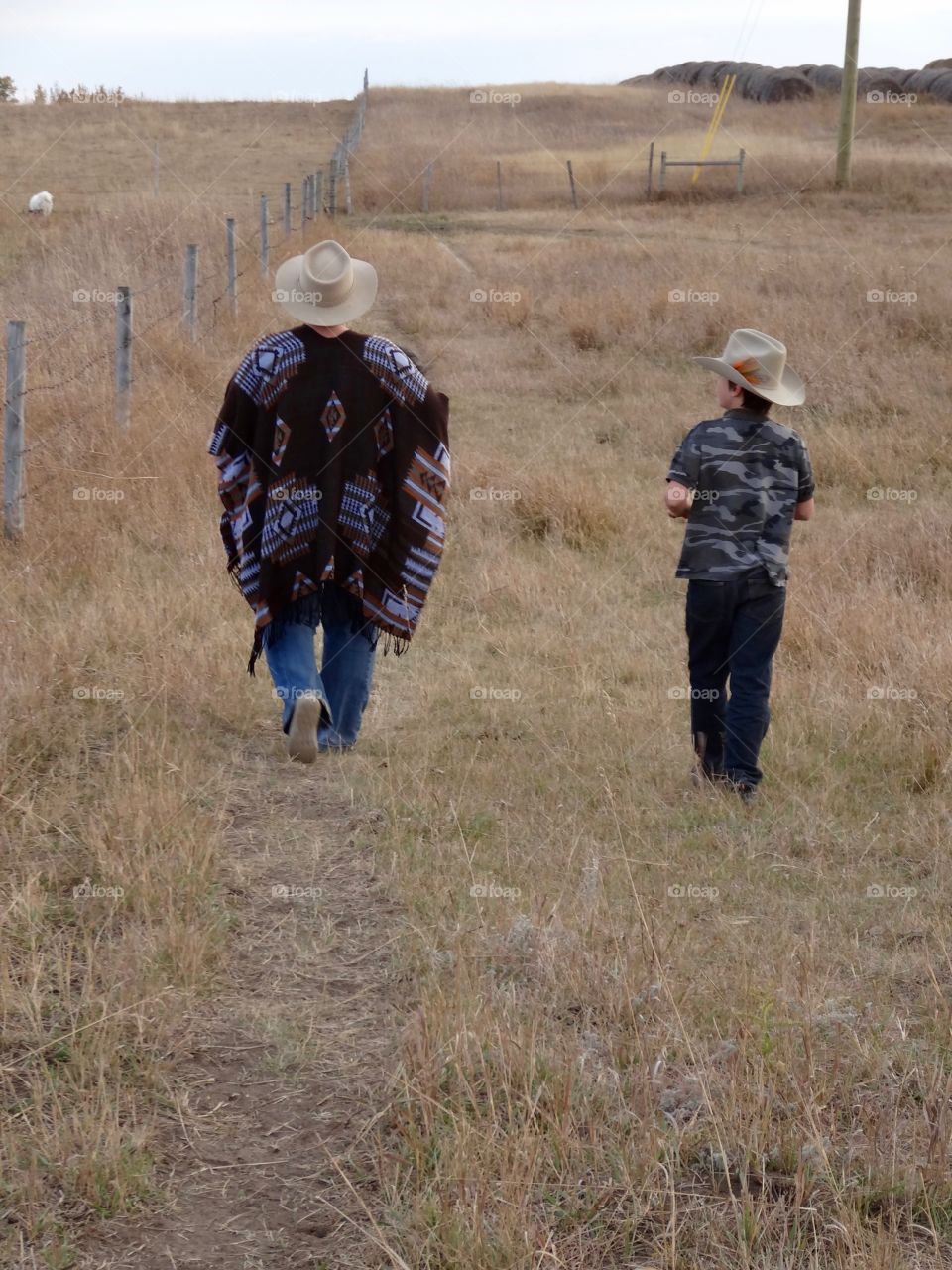 A walk though the field 