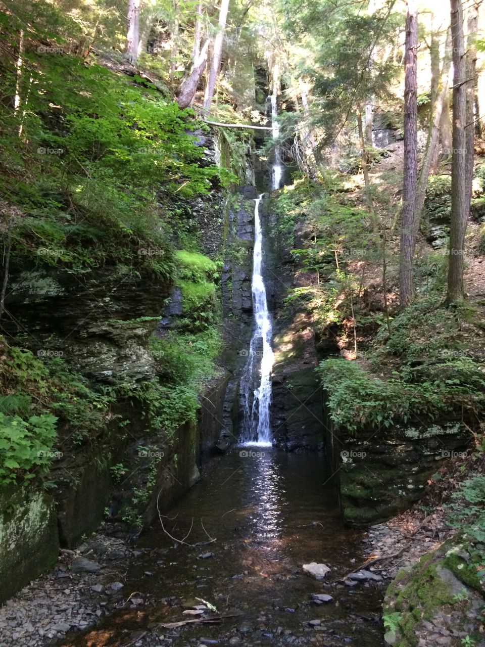 Peaceful Waterfall, Delaware
