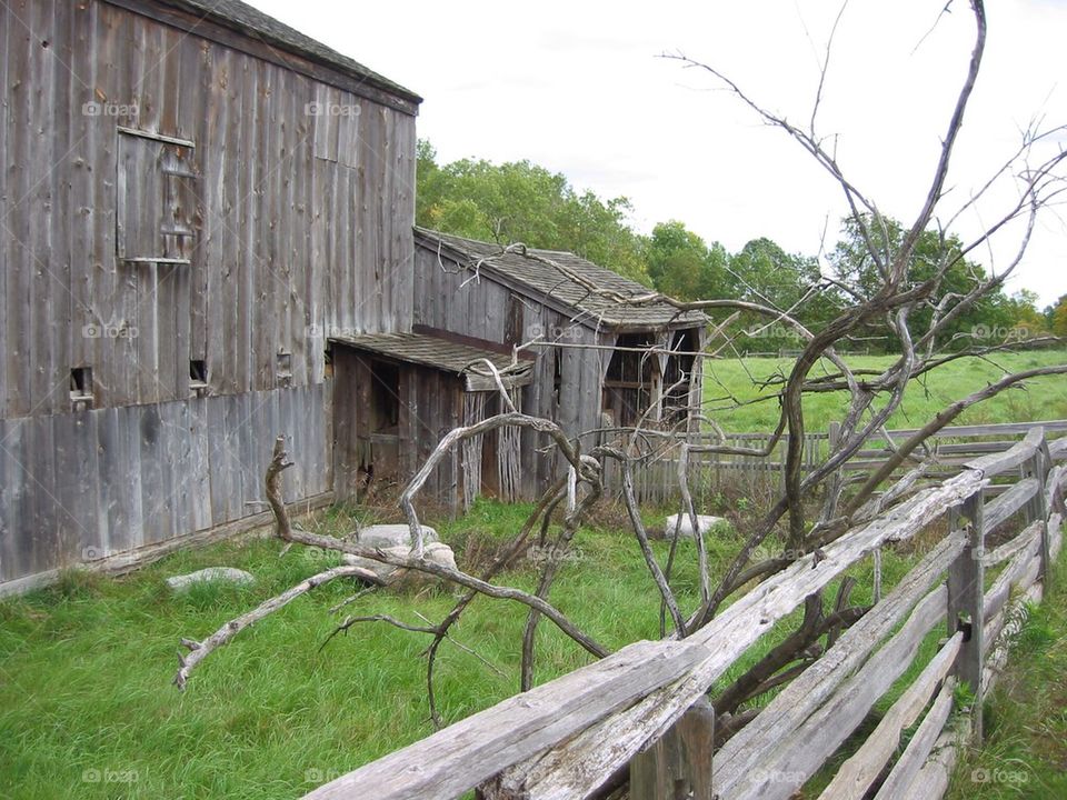 Old barn