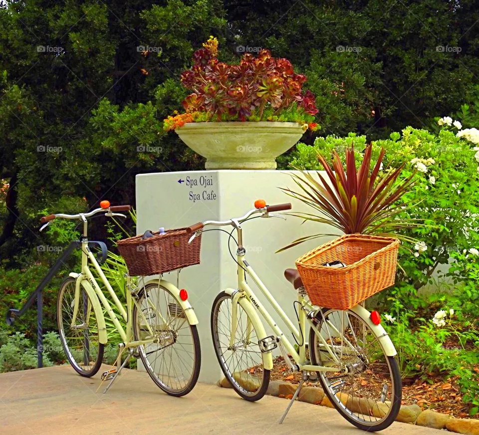 Bikes