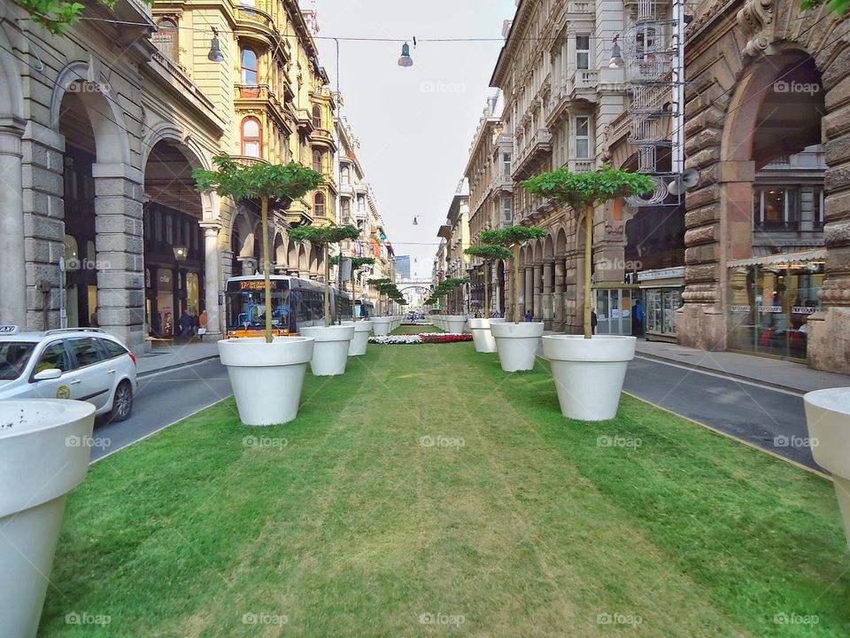 Street of GENOVA. Inside Genova