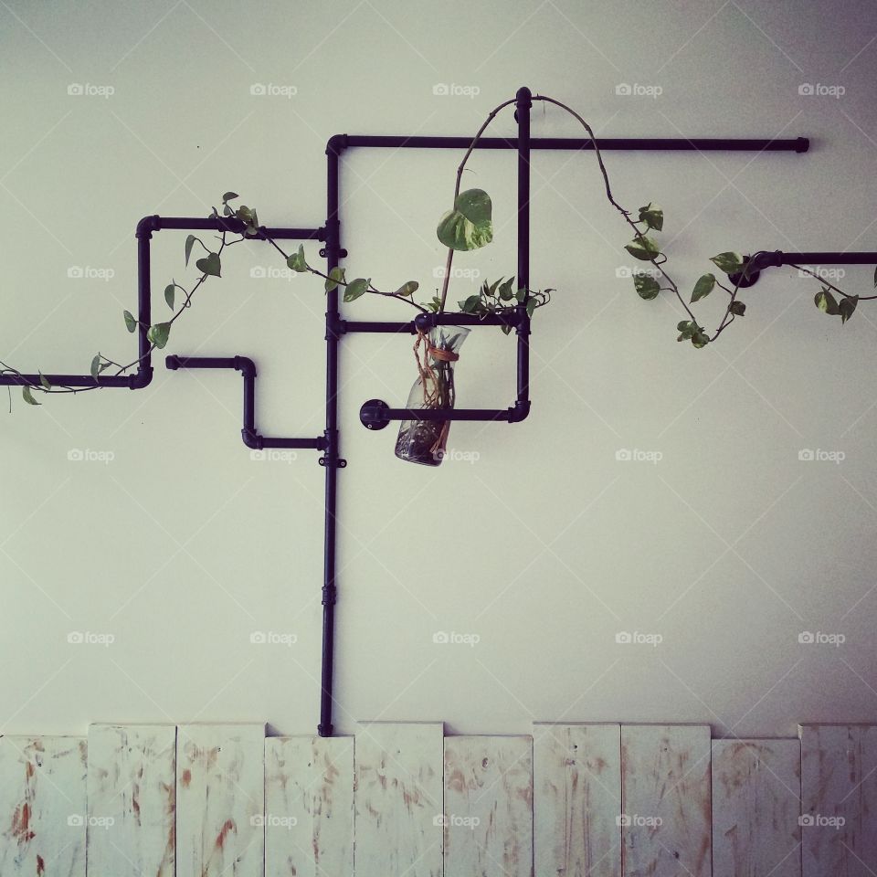 wall decoration with pipe and plant