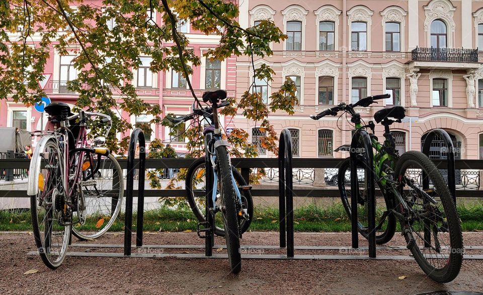 Bicycle parking on city street 🚲🚲