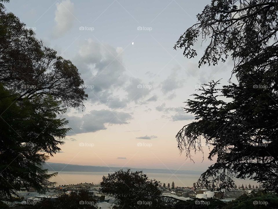 A picture looking out over hawkes bay in Napier. Using the trees as a frame sets a lovely scene out across the sea. Scattered clouds in the sky with the moon above. Night time is near.