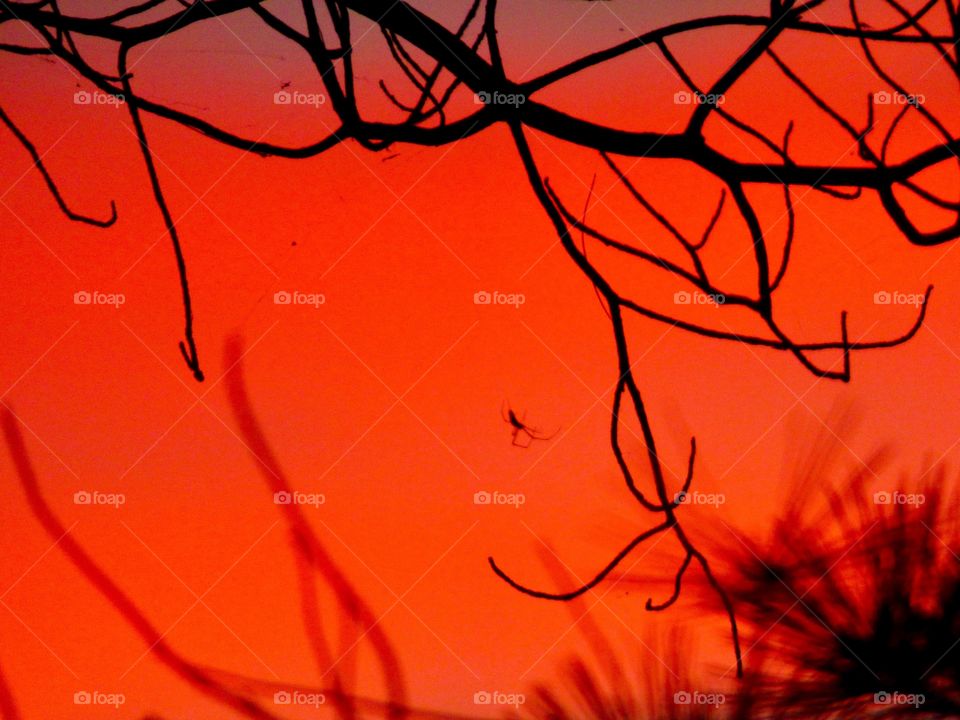 Getting read for Halloween 