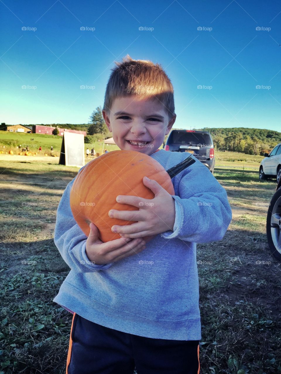 Pumpkins. Took my son pumpkin picking in upstate New York. His favorite thing to do! He loved choosing his own.