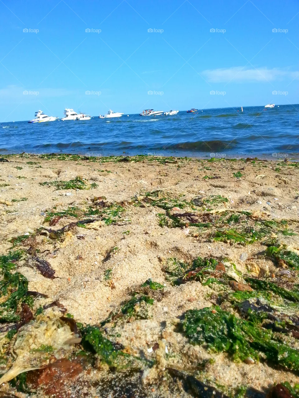 Sea, Water, Seashore, Nature, Beach