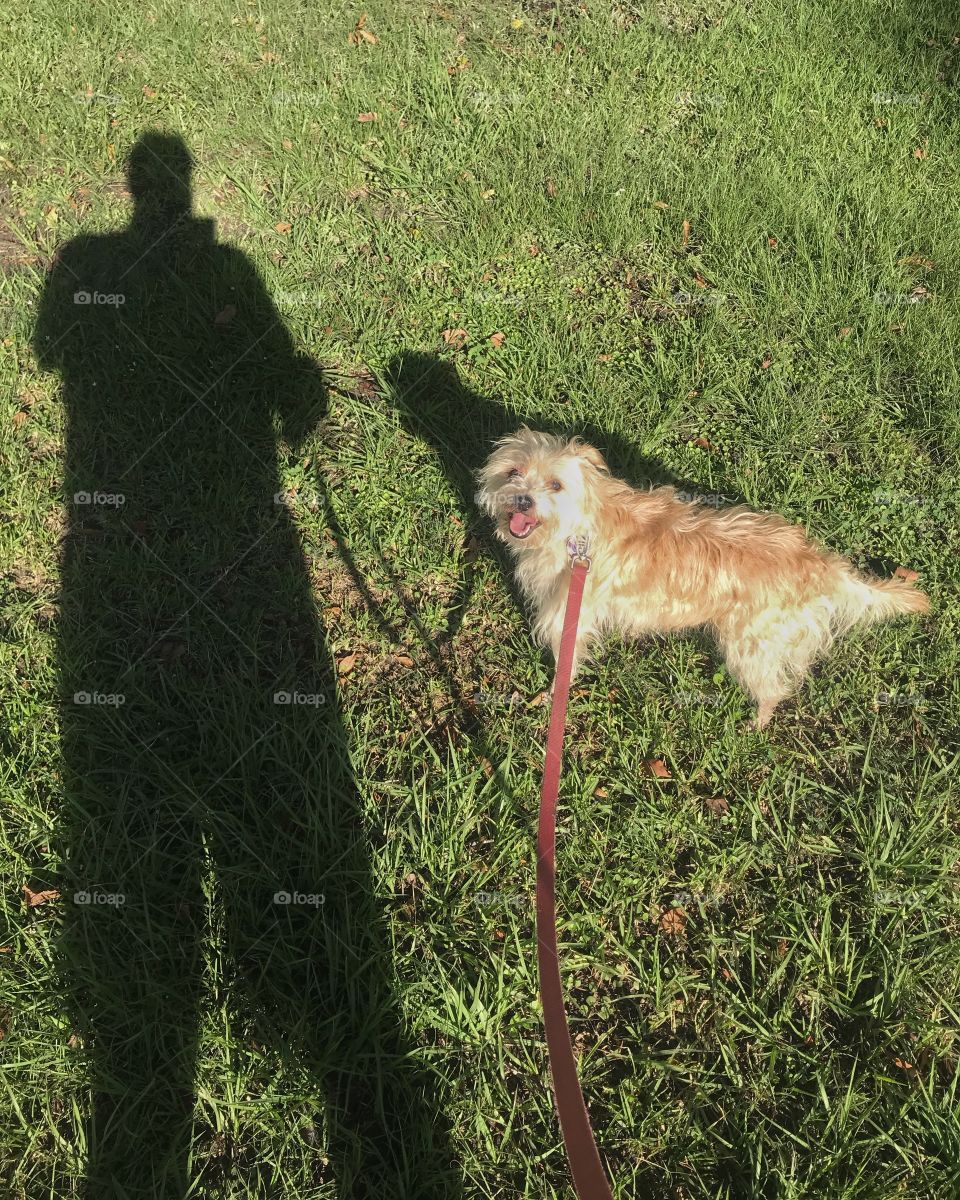 Walking the dog, with shadow 