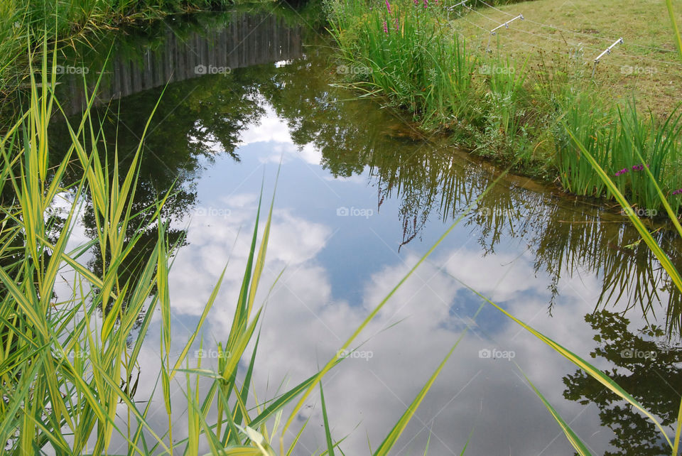 green clouds pond water by Nikita80