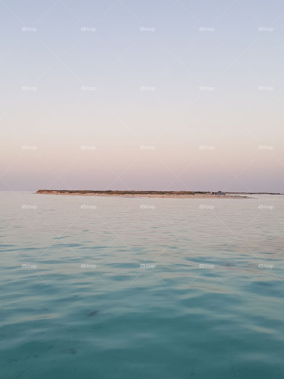 جزيرة في البحر الأحمر