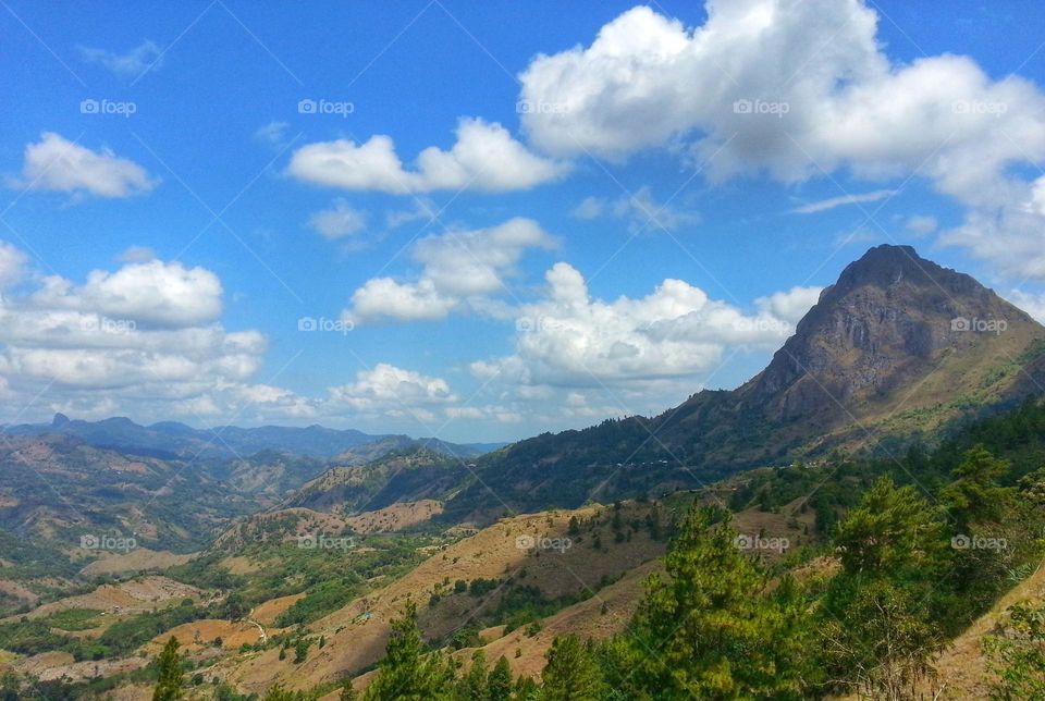 Beattle:Mountains vs. Sidesia