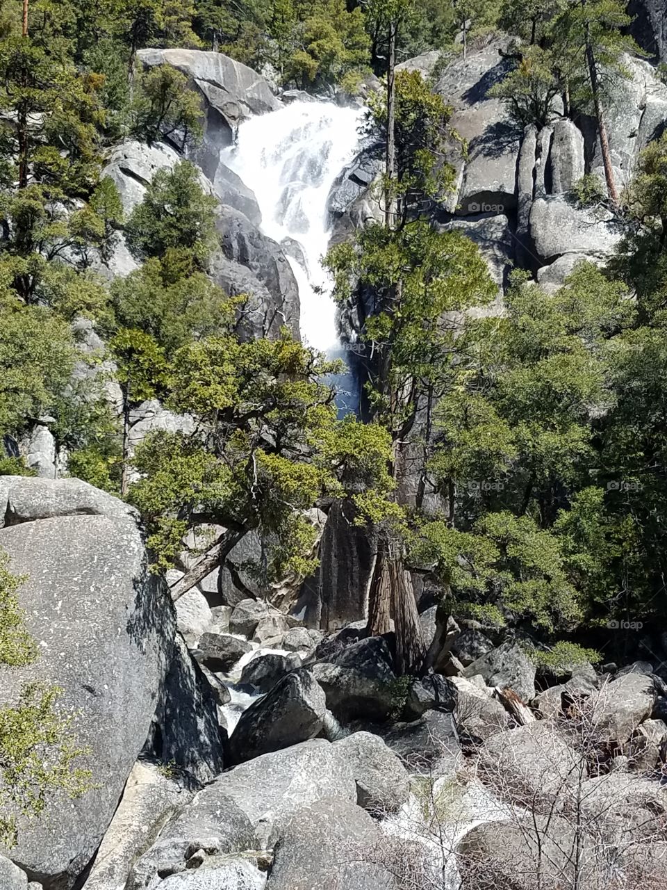 waterfall rocks and trees