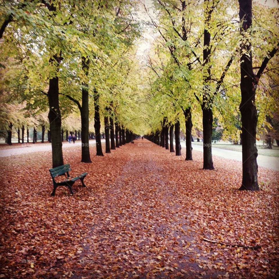 Autumn Herrenhäuser Gärten