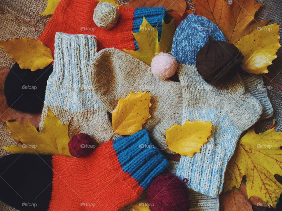 knitted warm socks and autumn leaves