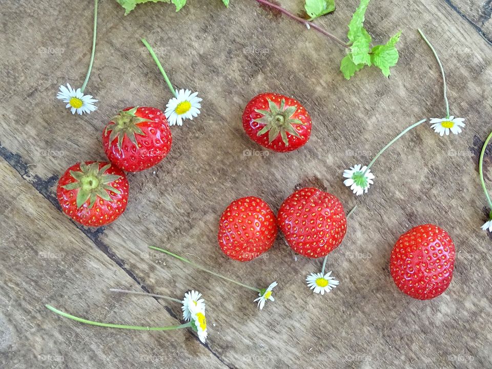 Strawberries and daisies