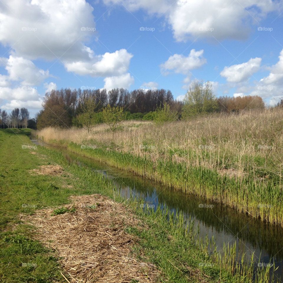 Landscape Holland