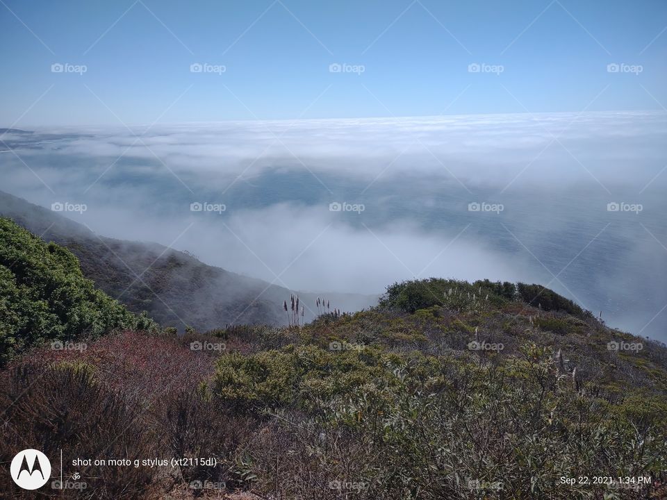 pacific coast highway