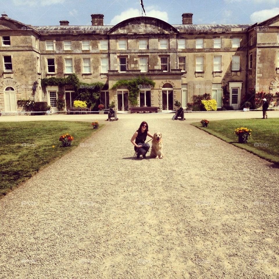 Golden Retriever Centenary