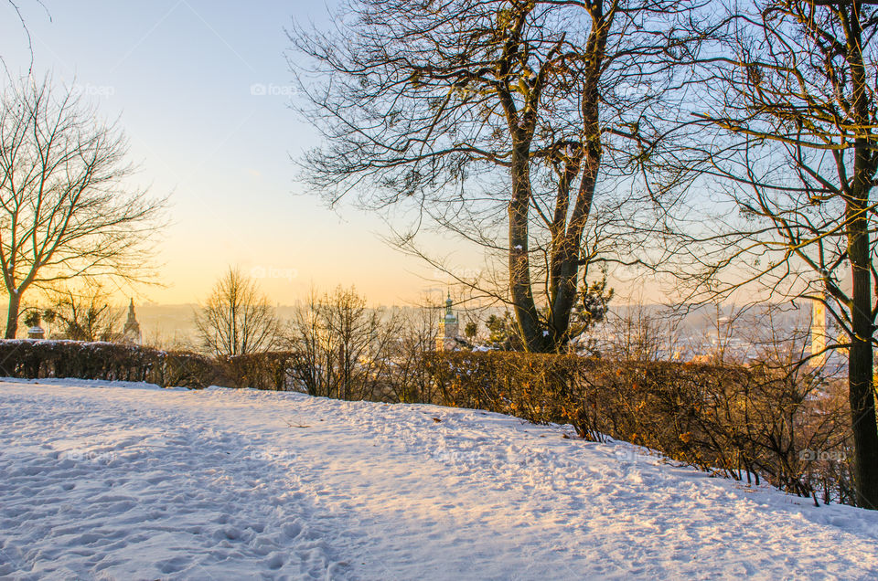 Nature landscape during sunset