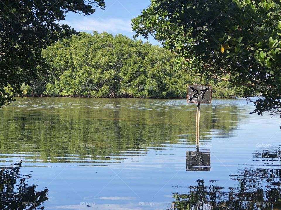 Kayak marker