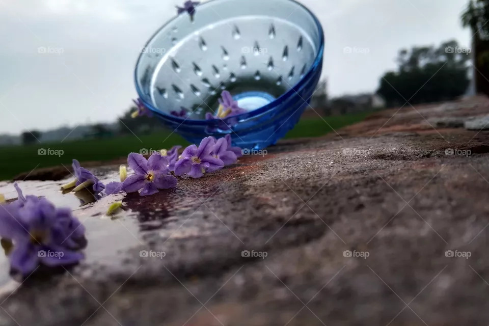 Flower image