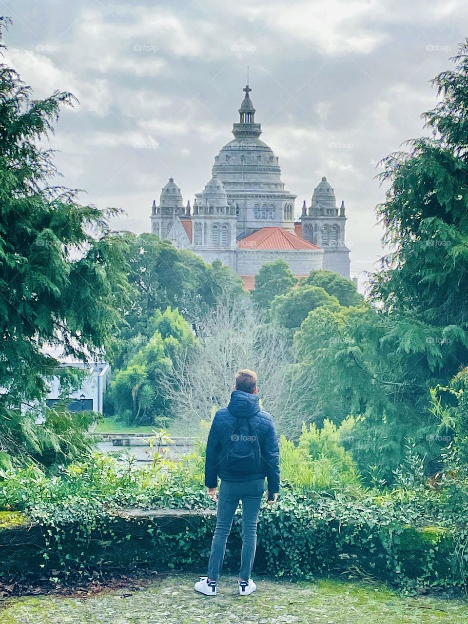 Castle in the forest