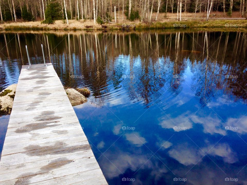 Reflection. Pond Reflection