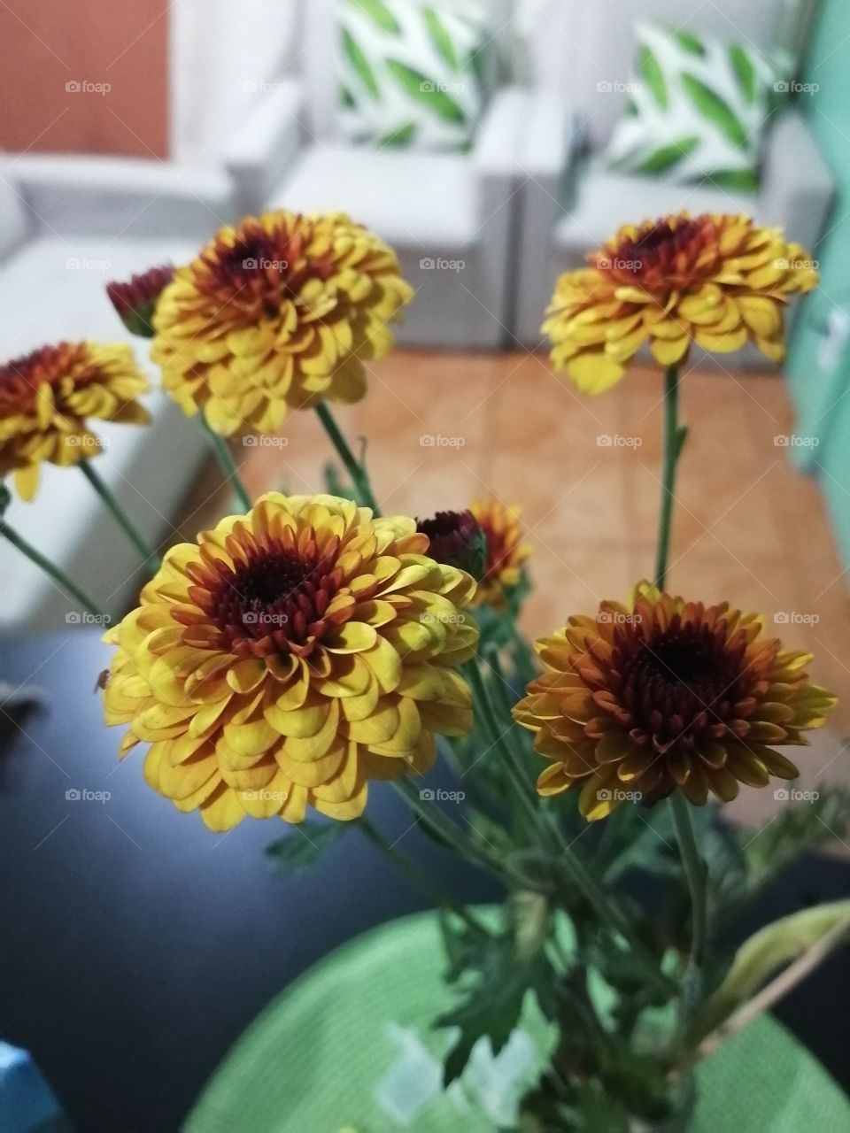 yellow Flowers