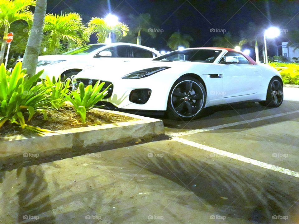 Jaguar F type on the Parking at Night Time on the Parking Space beside other White Vehicle.