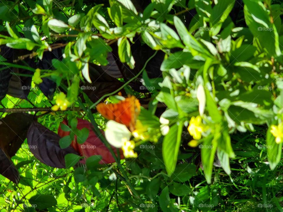 wonderful mother nature