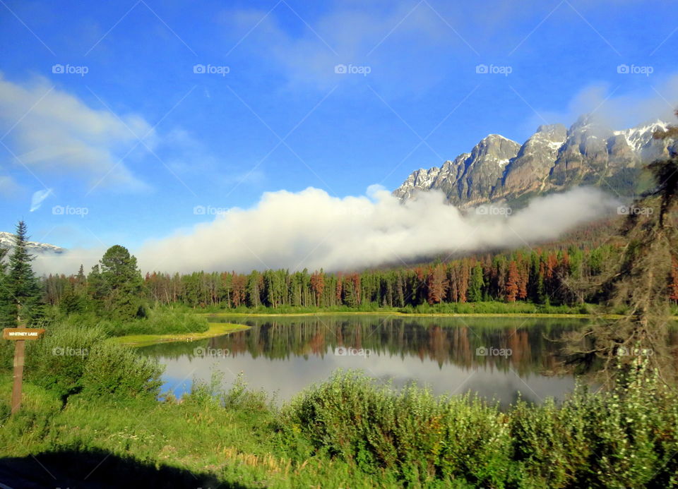 View of idyllic lake during winter