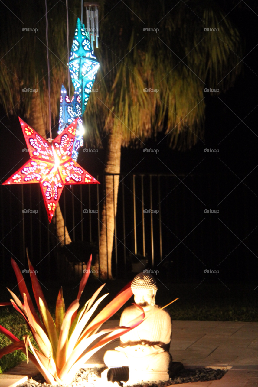 florida buddah nigth light back palms at night light by habitatweston