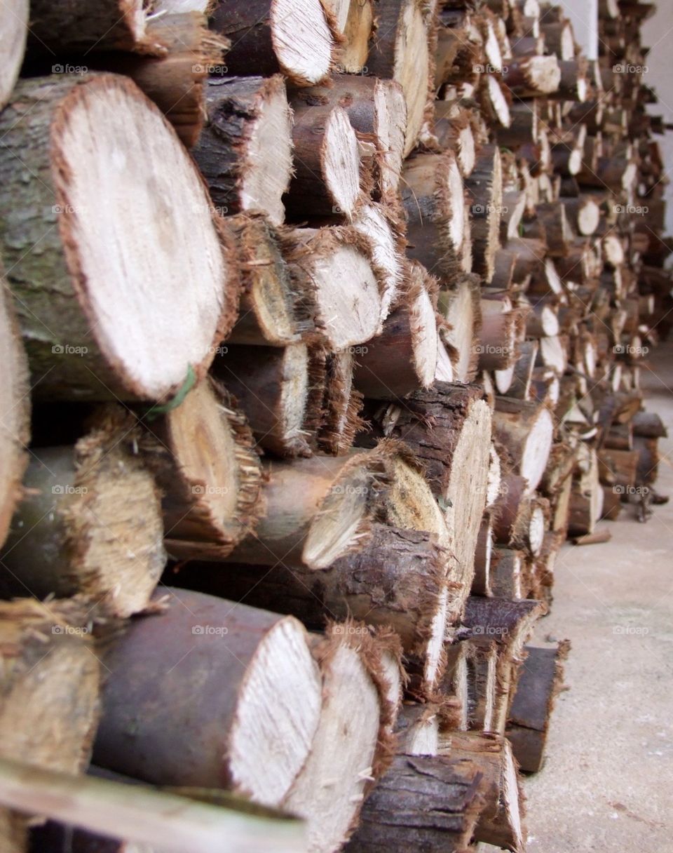 wood logs close up