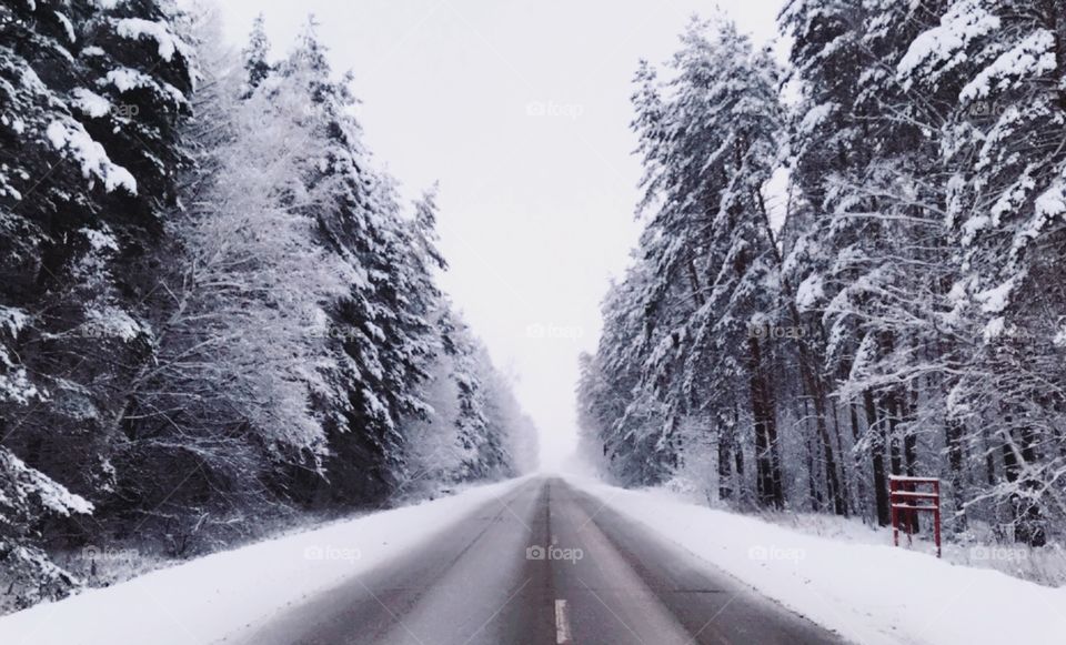 Winter , road