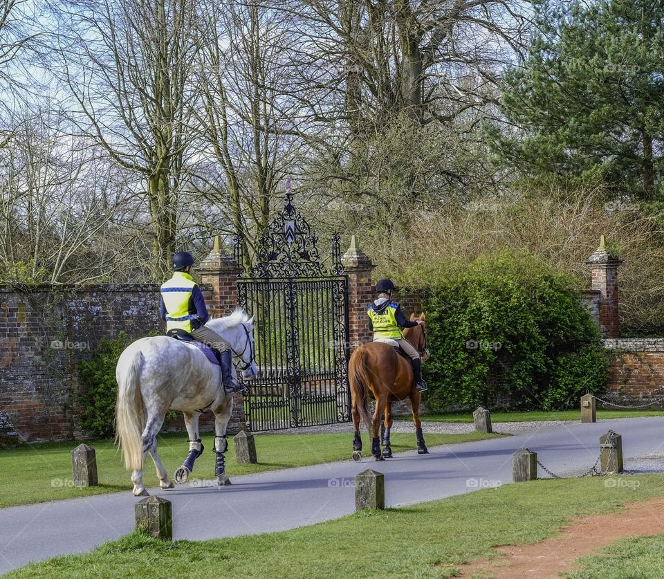 Riders. Horses