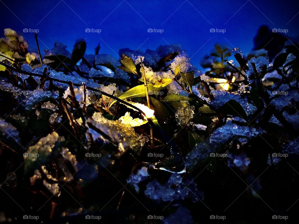 Winter ist beleuchtet am tollsten🤩