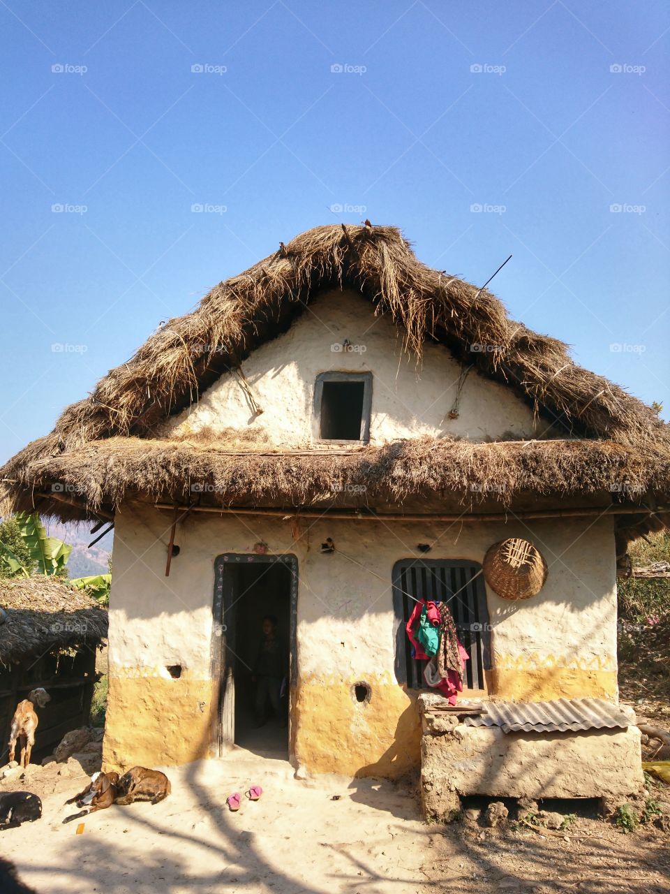 Rural house 🏡 in Nepal 🇳🇵