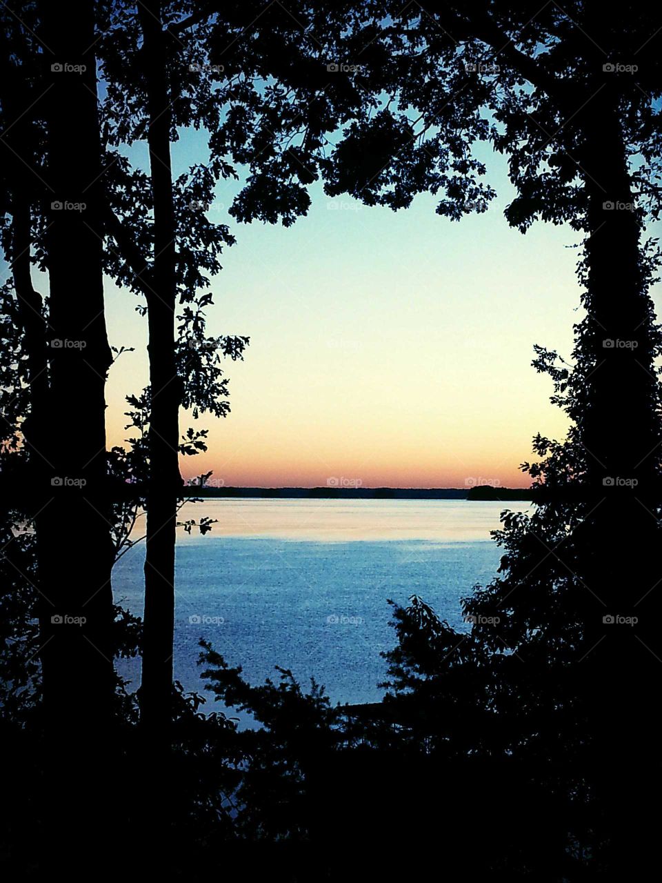 Lake Sunset Thru Trees