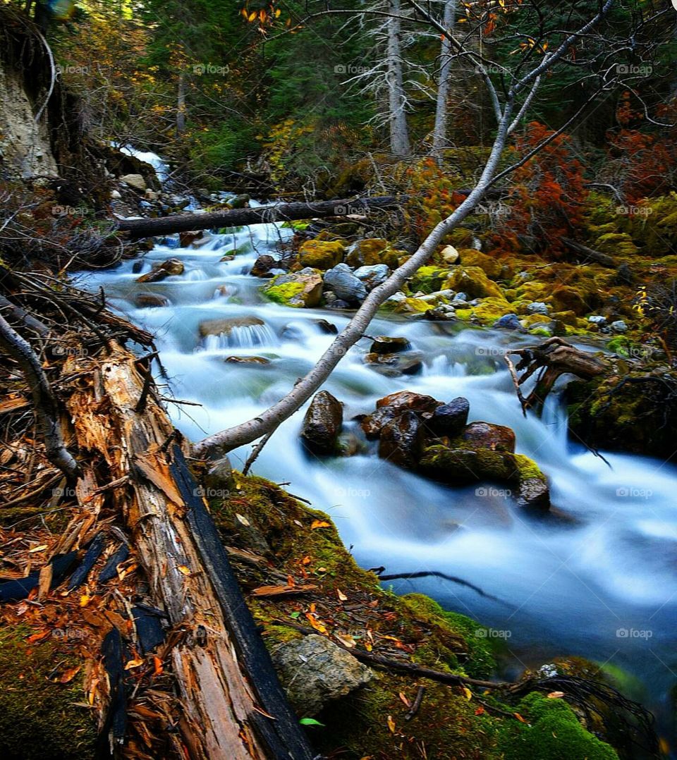 river flowing through spray lakes