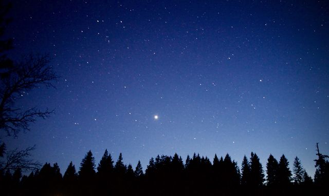Stars and Treeline. Planet Jupiter 