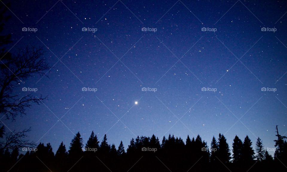 Stars and Treeline. Planet Jupiter 