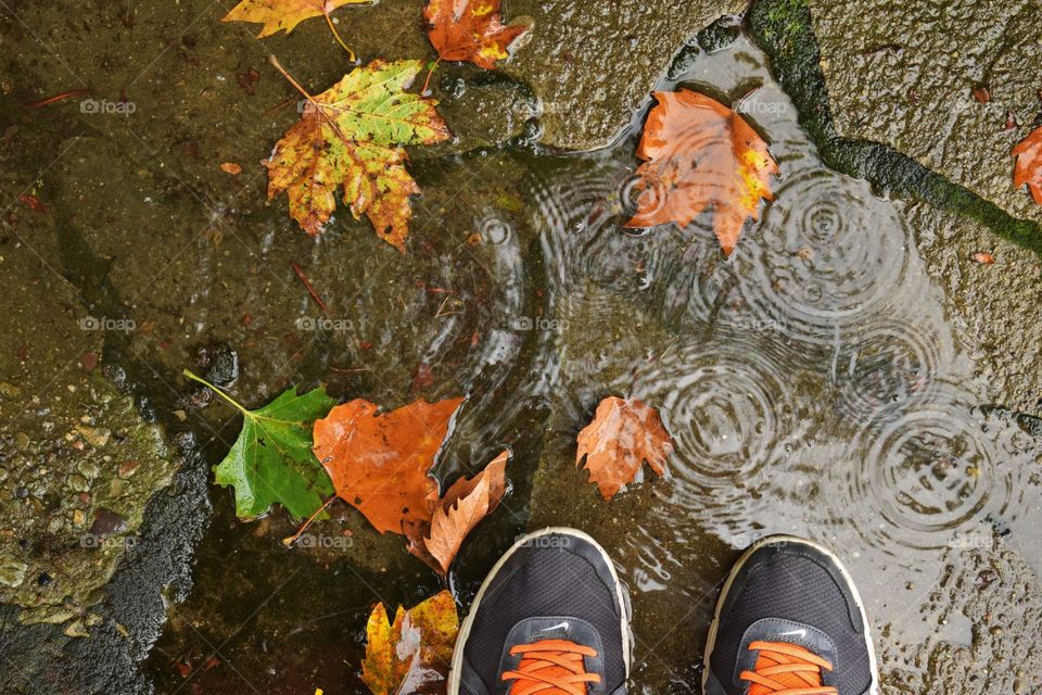 A rainy day can be both wet and beautiful. When I originally came up with the idea for this shot, I thought it would be easy to capture what I saw: millions of drops in a puddle.  What I got was only one drop at a time.  I learned how a rain storm is actually made up of many millisecond, and every time we blink, we miss something. For some reason, that made me appreciate the moment more.  Some things need to be experienced to truly appreciate them.  I hope this photo inspires more people to get out in the rain and notice the small things.