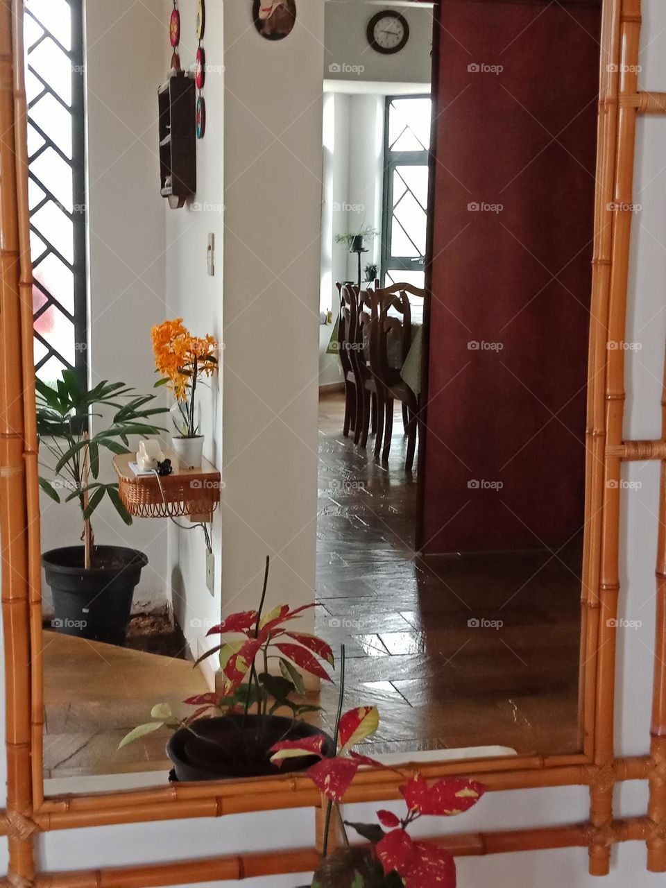 Entrance mirror showing plants, walls, flower, windows