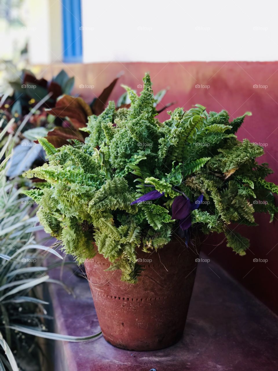 Nothing makes me happy when i have camera in my hand...📸