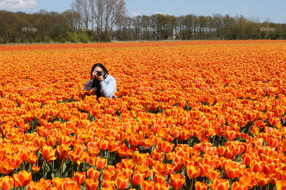 Tulip Field Photographer