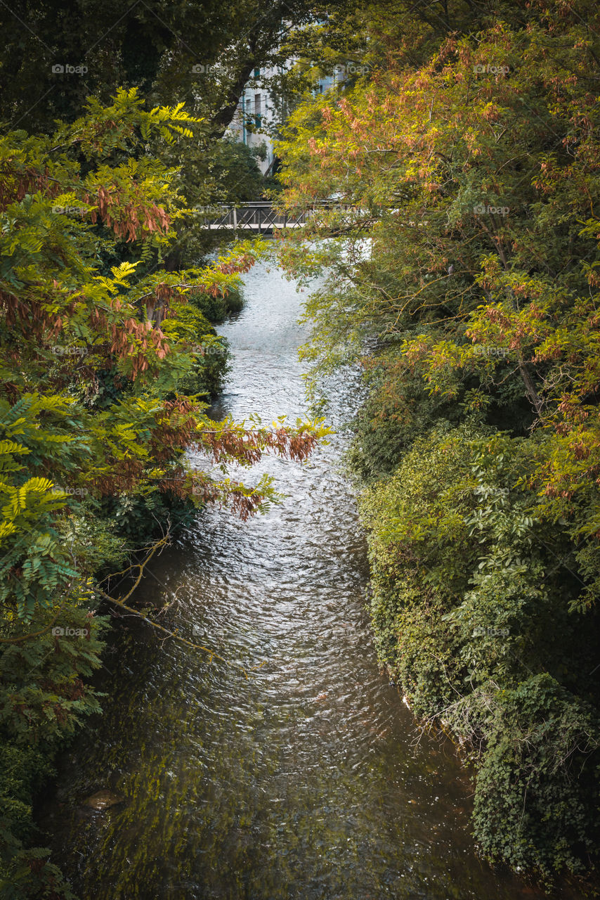 Stream to the bridge 