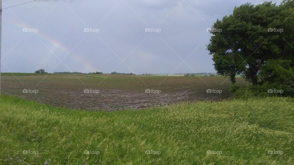 Landscape, Agriculture, No Person, Farm, Cropland