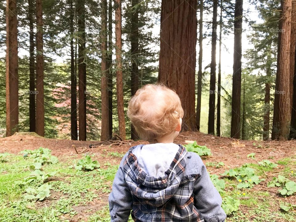Baby in nature 