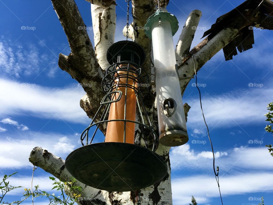 Bird Feeders