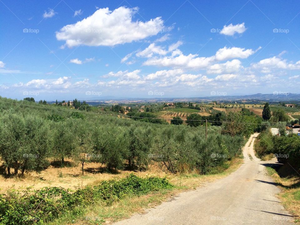 Country Road, Tuscany